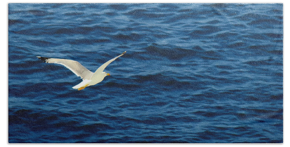 Bird Hand Towel featuring the photograph Soaring over the Mediterranean by Sue Melvin