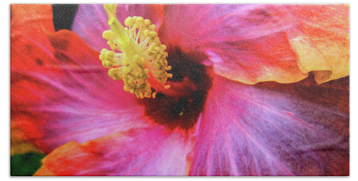 Hibiscus Bath Towel featuring the photograph SoCal Hibiscus by Becqi Sherman