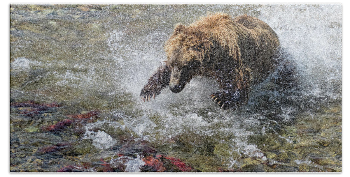 Alaska Hand Towel featuring the photograph Sockeye in Sight by Cheryl Strahl