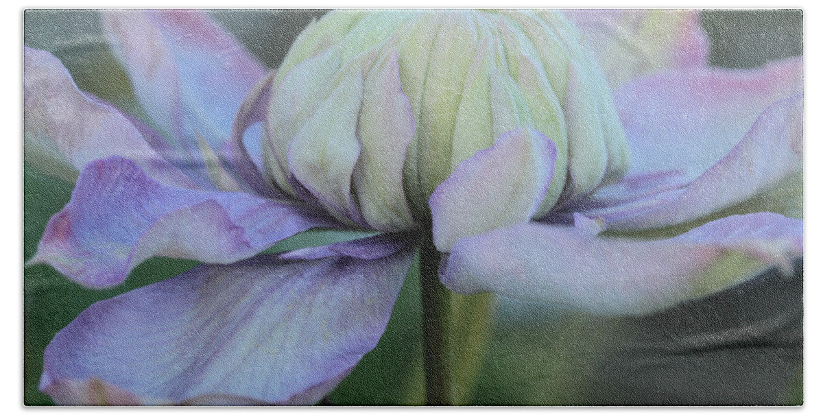Clematis Bath Towel featuring the photograph Soft And Cozy by Connie Handscomb
