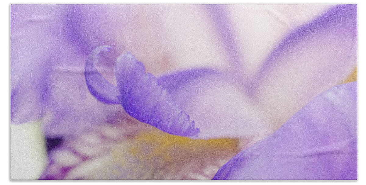 Flowers Bath Towel featuring the photograph Soft Focus Iris Petals Botanical / Nature / Floral Photograph by PIPA Fine Art - Simply Solid