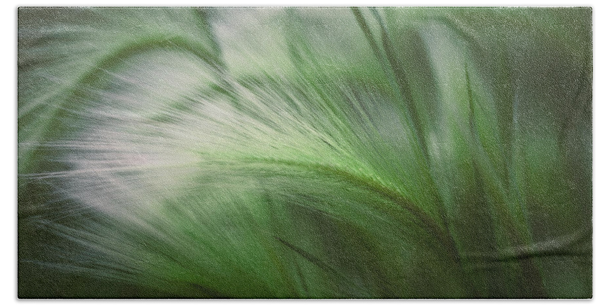 Grass Hand Towel featuring the photograph Soft Grass by Scott Norris