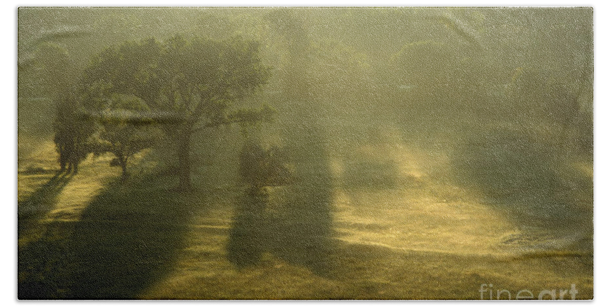Landscape Bath Sheet featuring the photograph Soft Green Morning by Jerry McElroy