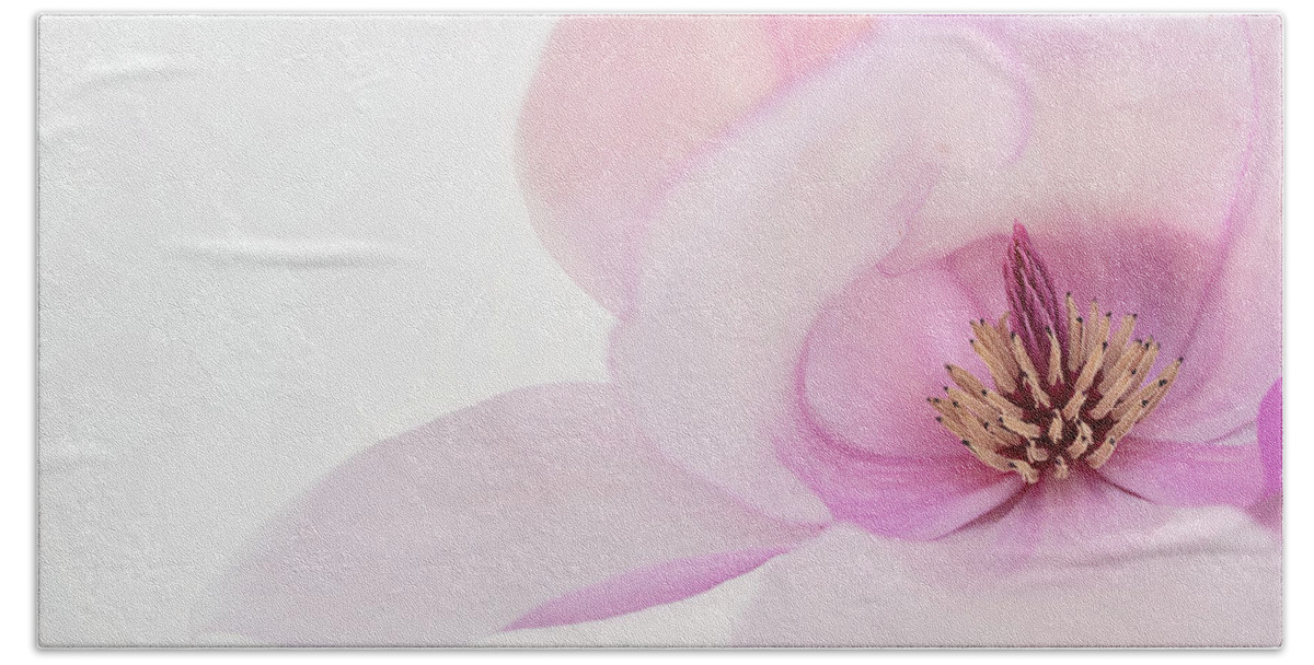 Japanese Magnolia Bath Towel featuring the photograph Soft Nest by Mary Jo Allen