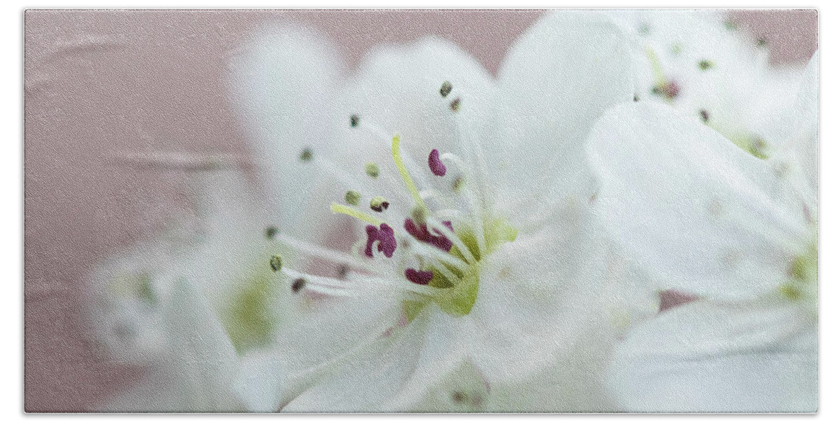 Flower Bath Sheet featuring the photograph Soft Petals by Erin McCandless