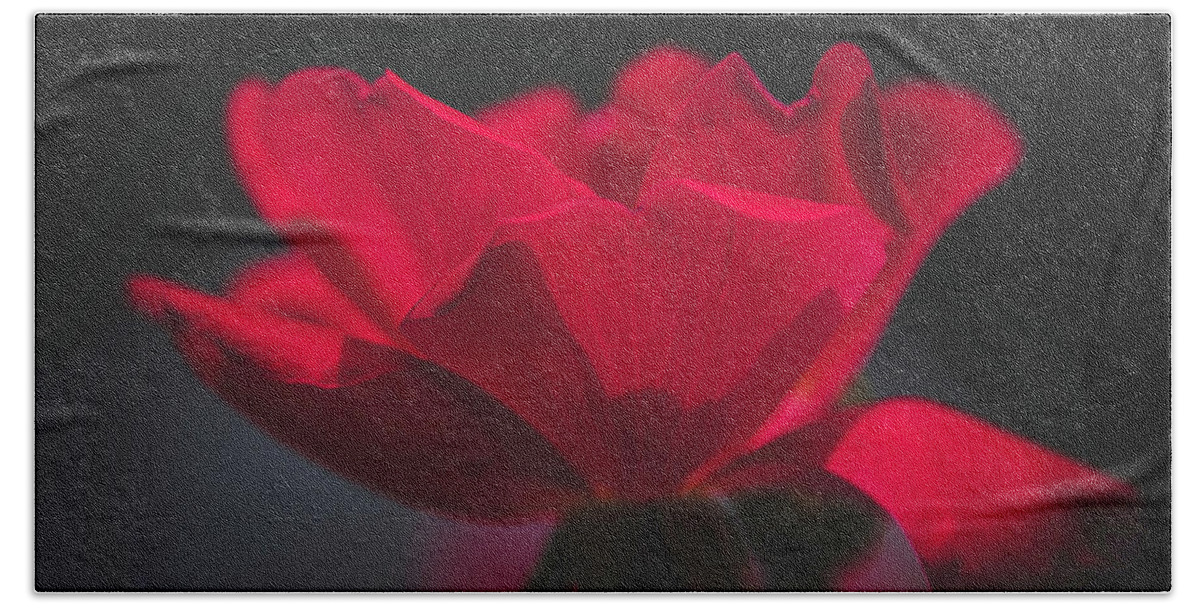 Flower Bath Towel featuring the photograph Soft Red Rose by Teresa Wilson