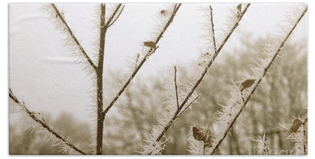Hoarfrost Bath Towel featuring the photograph Soft Winter Sepia Branches by Carol Groenen