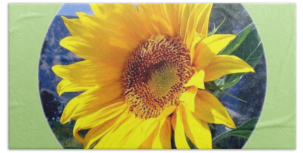 Sunflower Bath Towel featuring the photograph Solid Sunshine by Will Borden