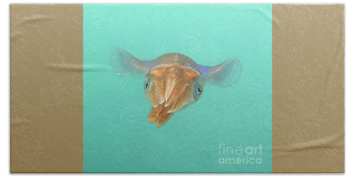 Underwater Hand Towel featuring the photograph Solitary Squid by Daryl Duda
