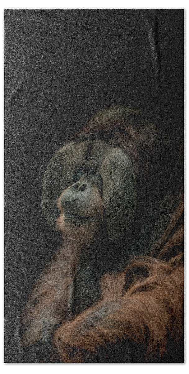Orangutan Hand Towel featuring the photograph Somber by Paul Neville