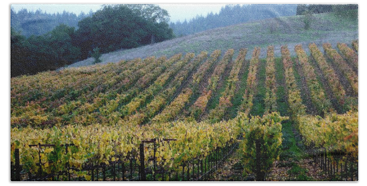 Vineyards Hand Towel featuring the photograph Sonoma County Vineyards Near Healdsburg by Charlene Mitchell