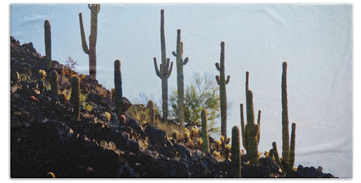 Arizona Hand Towel featuring the photograph Sonoran Desert Saguaro Slope by Judy Kennedy