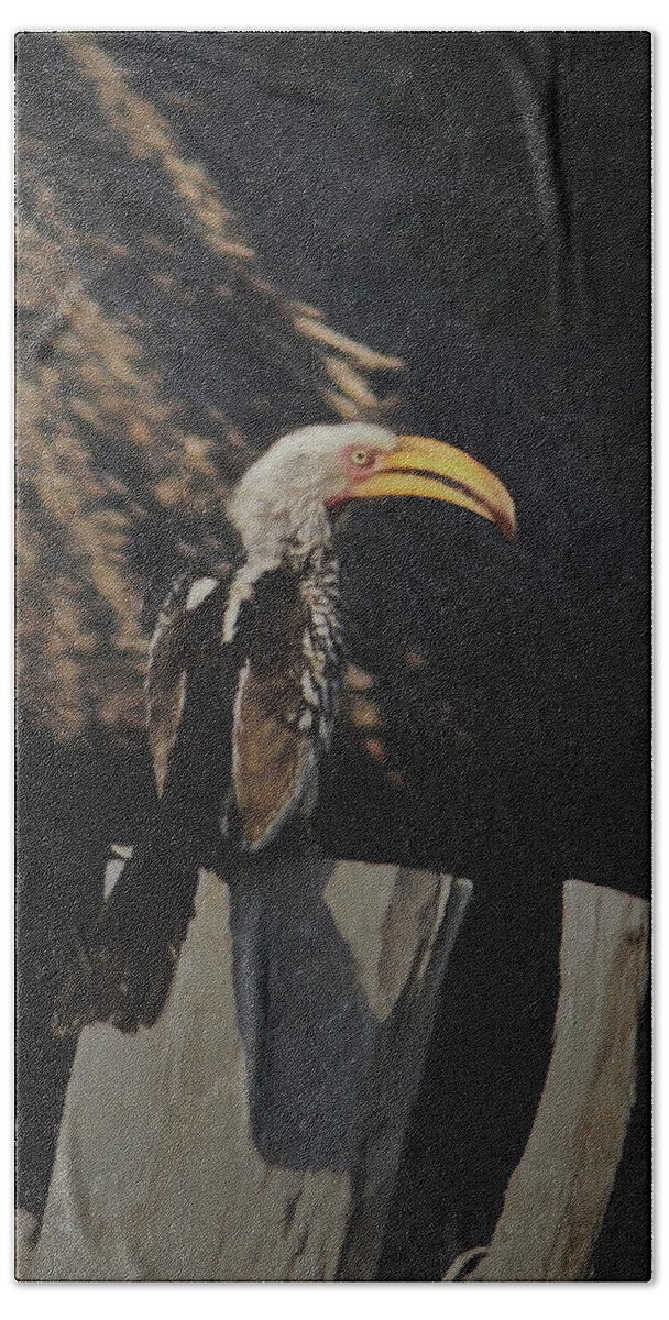 Southern Yellow-billed Hornbill Hand Towel featuring the digital art Southern Yellow billed Hornbill by Ernest Echols