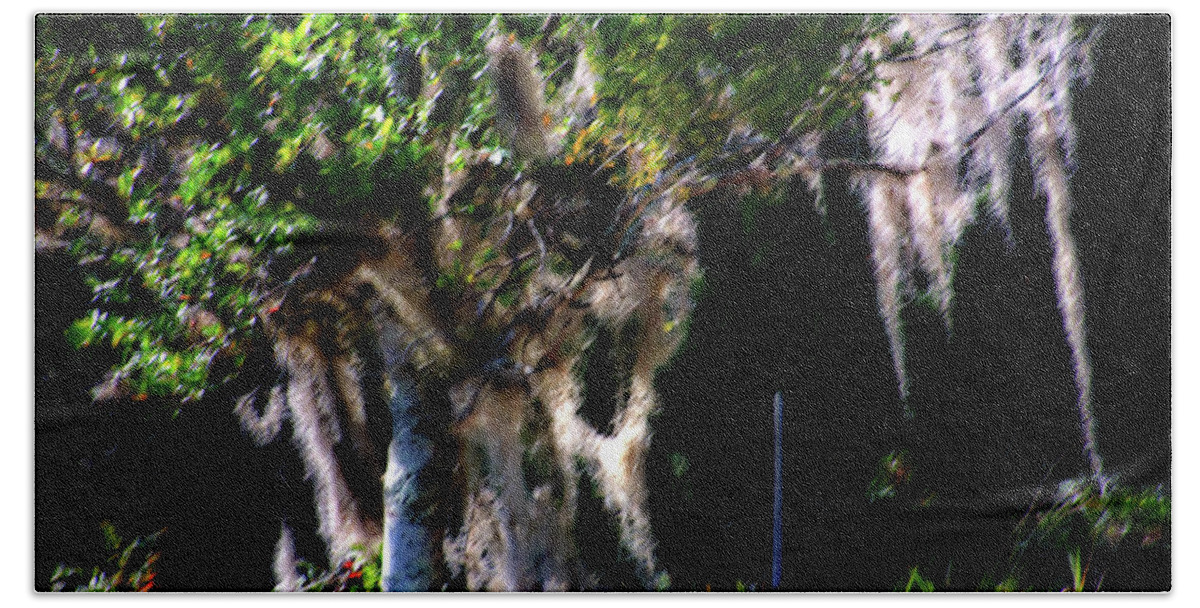 Spanish Moss Bath Towel featuring the photograph Spanish Moss by Gina O'Brien