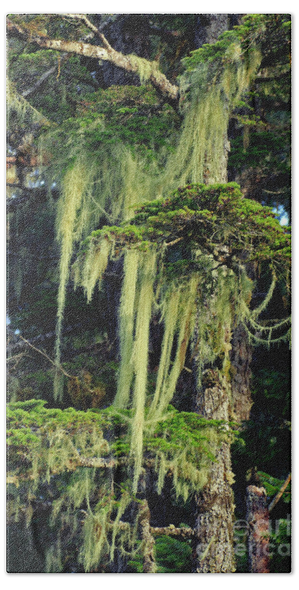 Moss Bath Towel featuring the photograph Spanish Moss-Signed-#9502 by J L Woody Wooden