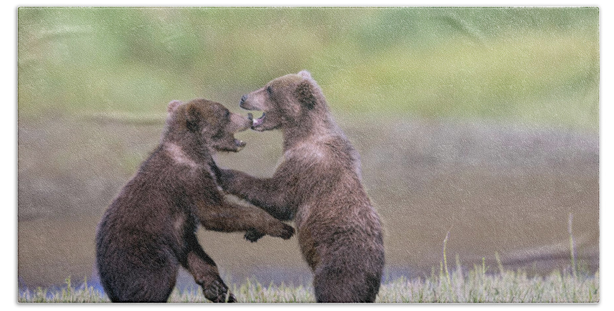Brown Bears Bath Towel featuring the photograph Sparring Cubs by Mark Harrington