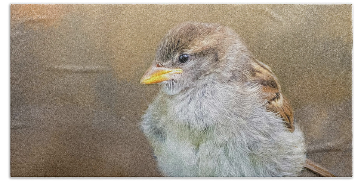 Fledgeling Bath Towel featuring the photograph Sparrow Fledgeling by Cathy Kovarik
