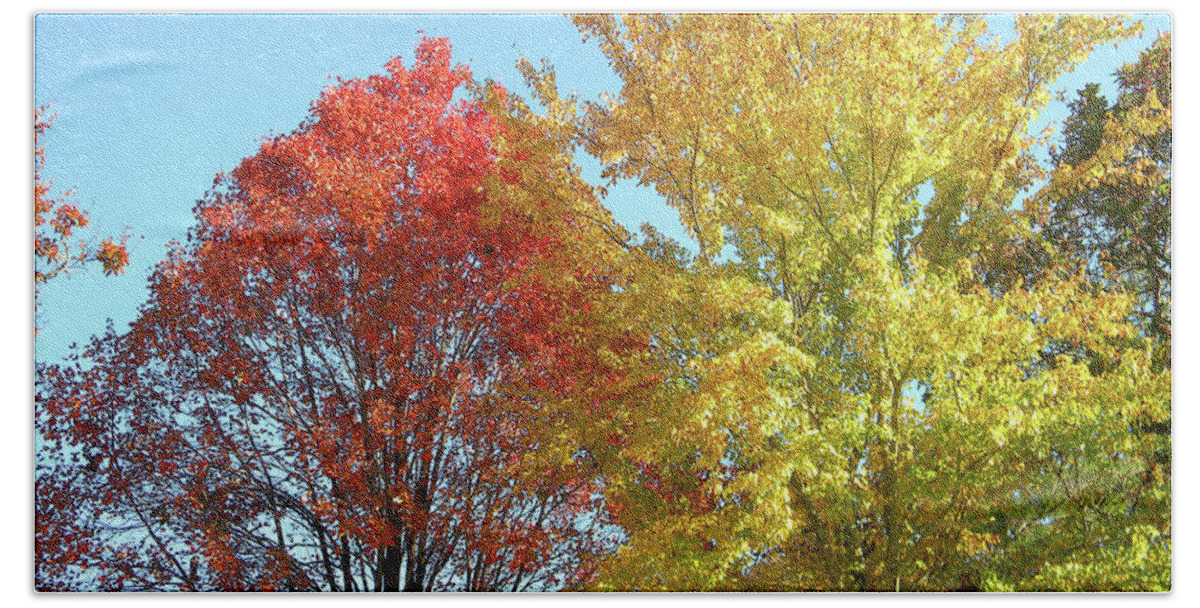 Autumn Bath Towel featuring the photograph Spectacular Autumn Colors by Matthew Seufer