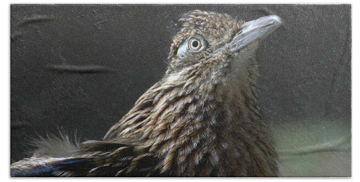Greater Roadrunner Bath Towel featuring the photograph Speed Demon by Fraida Gutovich