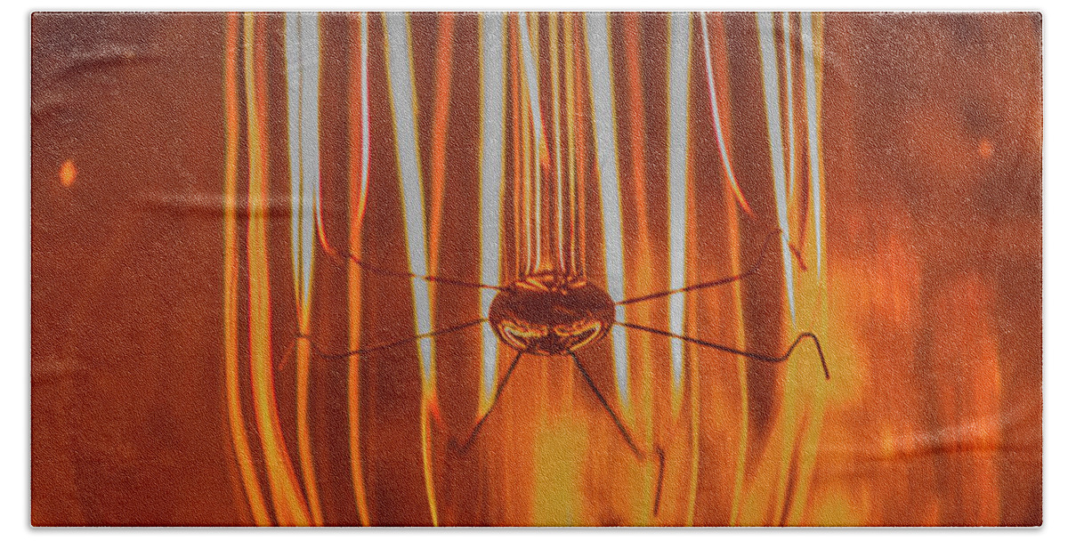 Macro Bath Towel featuring the photograph Spider Filament by Bruce Pritchett
