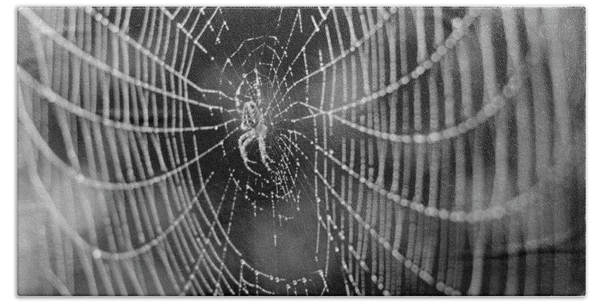 Cross Spider Hand Towel featuring the photograph Spider in a Dew Covered Web - Black and White by Bruce Block