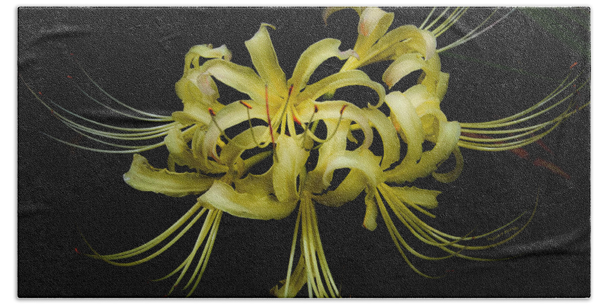Spider Lily Bath Sheet featuring the digital art Spider Lily by DigiArt Diaries by Vicky B Fuller