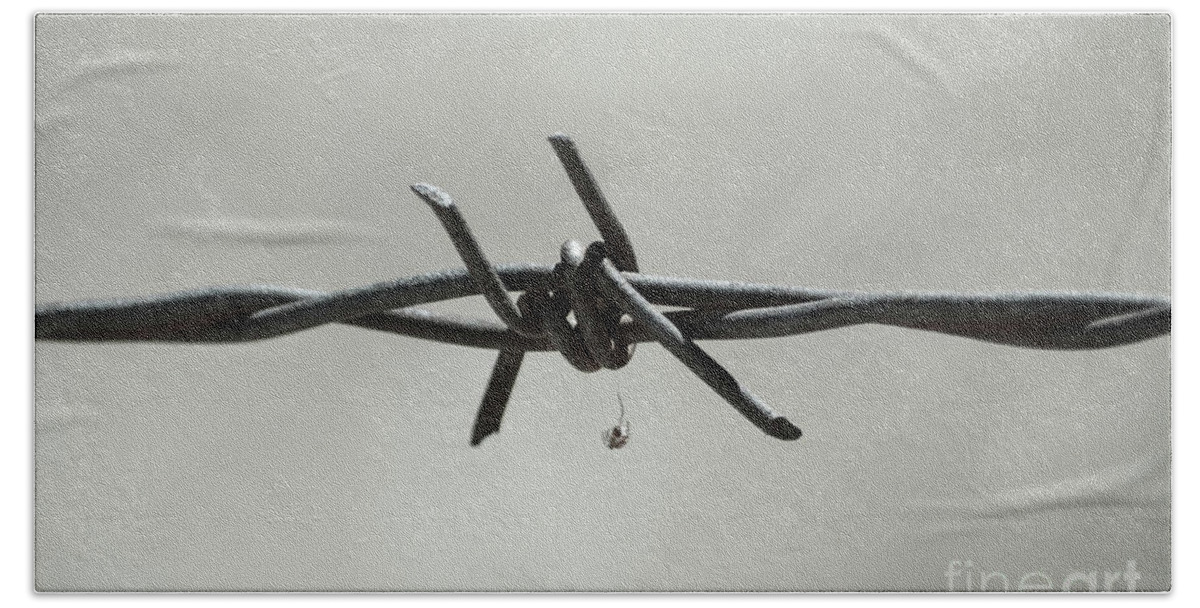 Spider On Barbed Wire In Black And White Hand Towel featuring the photograph Spider on Barbed Wire in Black and White by Leah McPhail