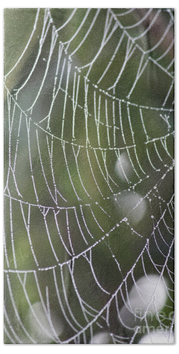 Spider Web Bath Towel featuring the photograph Spider Web with Bokeh by Carol Groenen