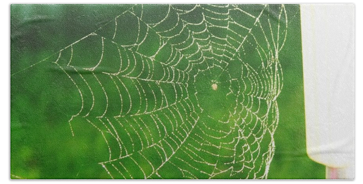 Web Bath Towel featuring the photograph Spider's Web by Sharon Duguay