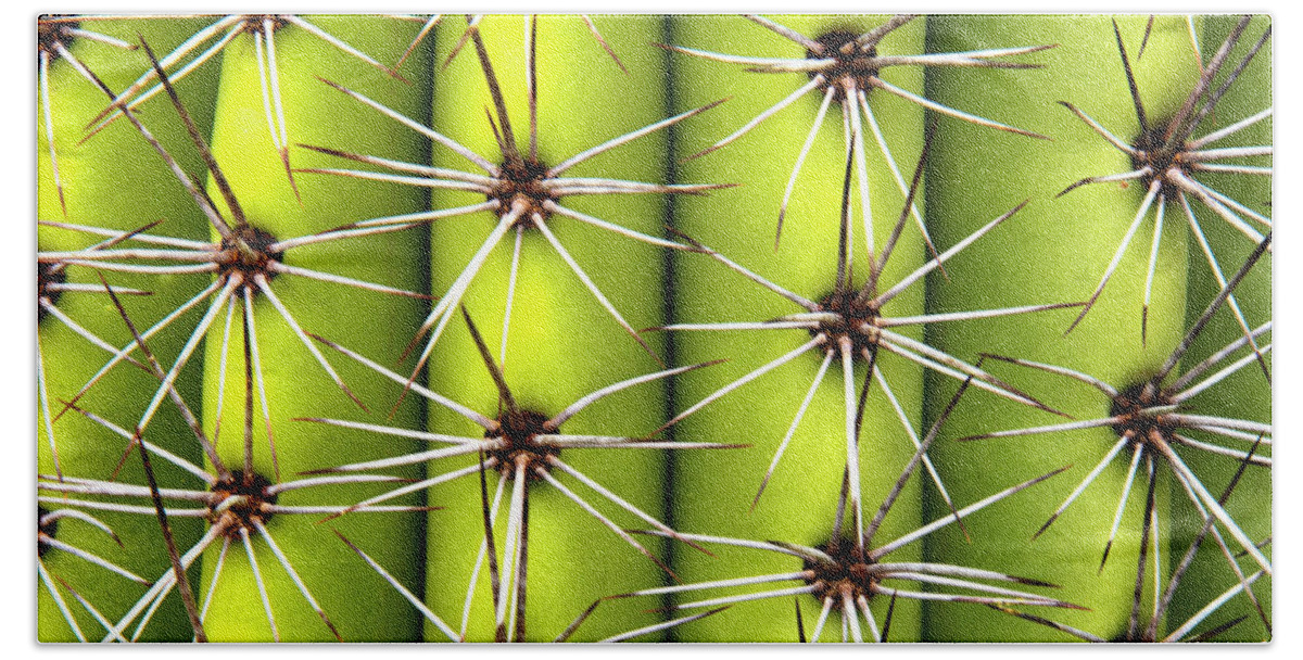 Cactus Hand Towel featuring the photograph Spines by Karen Smale