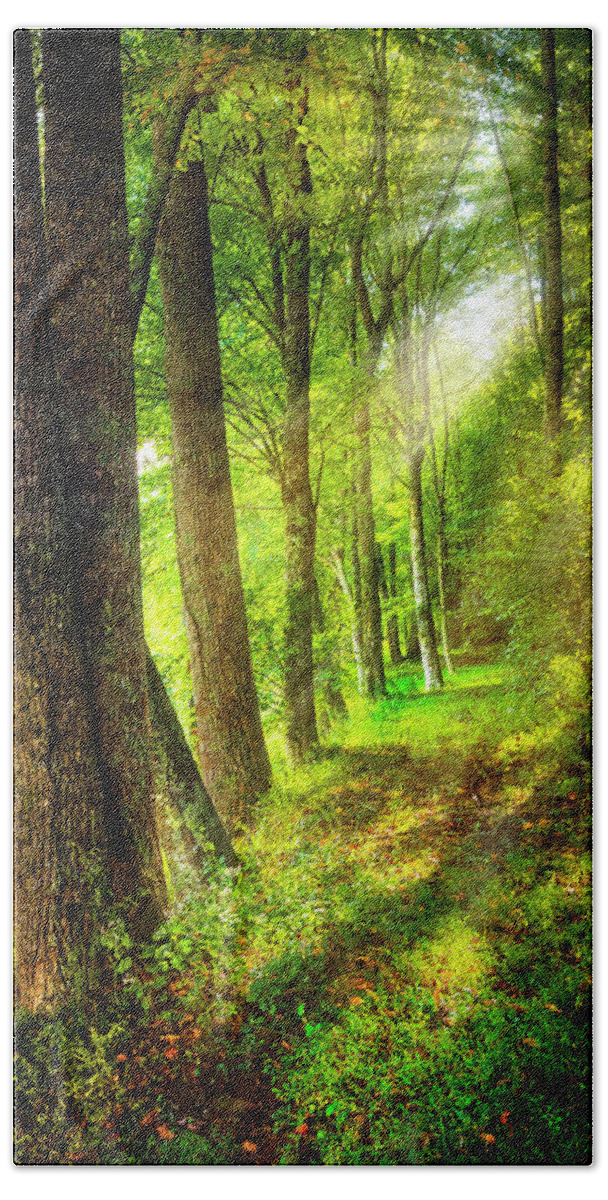 Appalachia Bath Towel featuring the photograph Spiritual Walk with Nature by Debra and Dave Vanderlaan