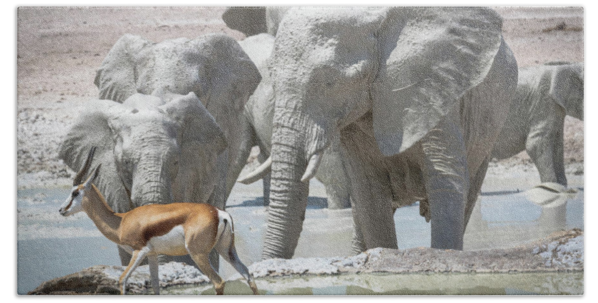 Antelope Hand Towel featuring the photograph Splash of Color by Rich Isaacman