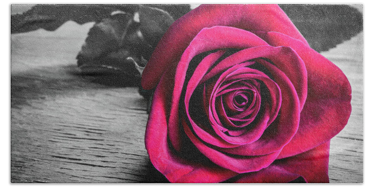 Red Rose Bath Towel featuring the photograph Splash of Red Rose by Tammy Ray