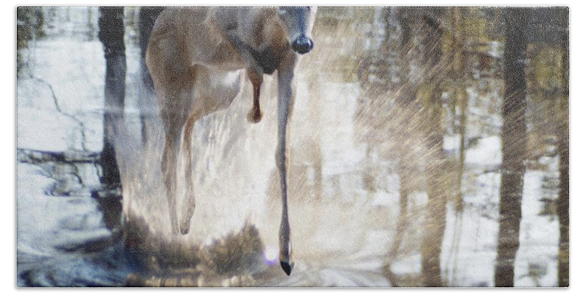 Deer Hand Towel featuring the photograph Splash Splash by Bill Stephens