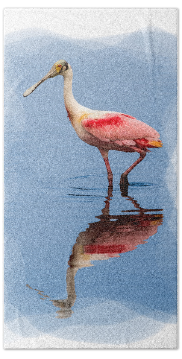 Animals Hand Towel featuring the photograph Spoonbill 3 by John M Bailey