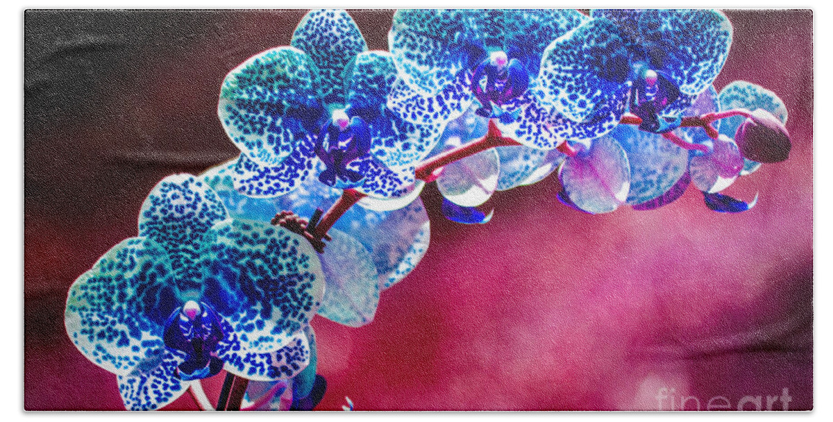  Orchid Hand Towel featuring the photograph Spotted blue orchid by Gerald Kloss