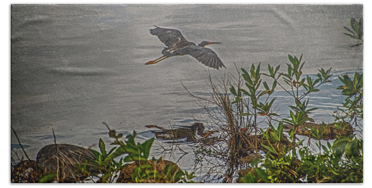 Heron Bath Towel featuring the photograph Spread Your Wings and Fly by Judy Hall-Folde