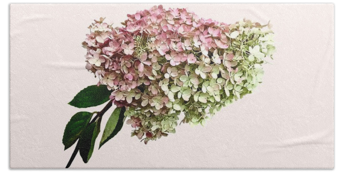 Hydrangea Hand Towel featuring the photograph Sprig of Hydrangea by Susan Savad