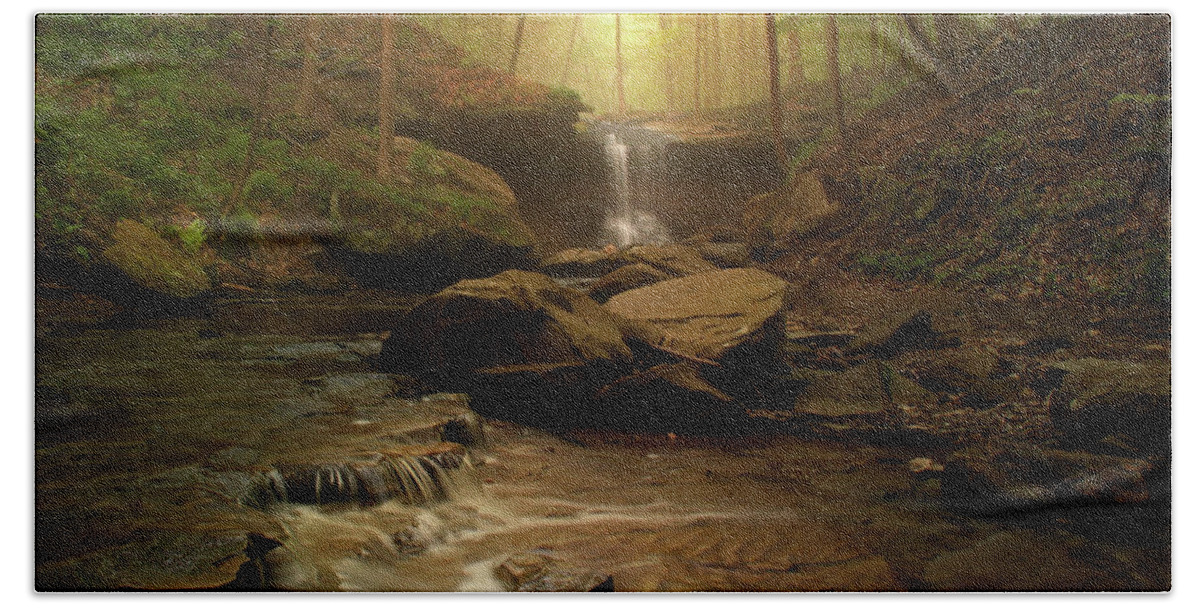 Forest Hand Towel featuring the photograph Spring at Blue Hen Falls by Rob Blair