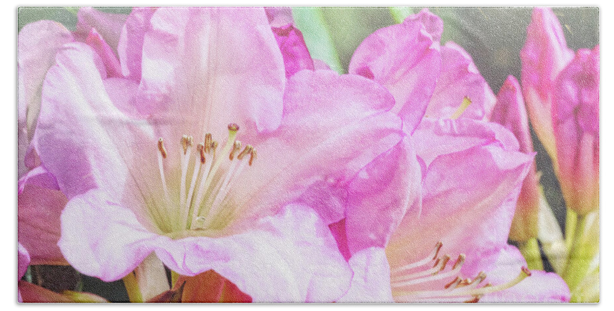 Rhododendron Hand Towel featuring the digital art Spring Bling by Jean OKeeffe Macro Abundance Art