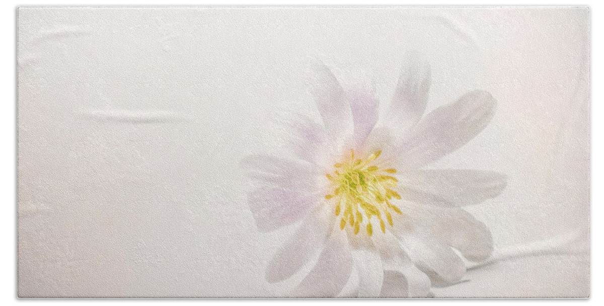 Blossom Hand Towel featuring the photograph Spring Blossom by Scott Norris