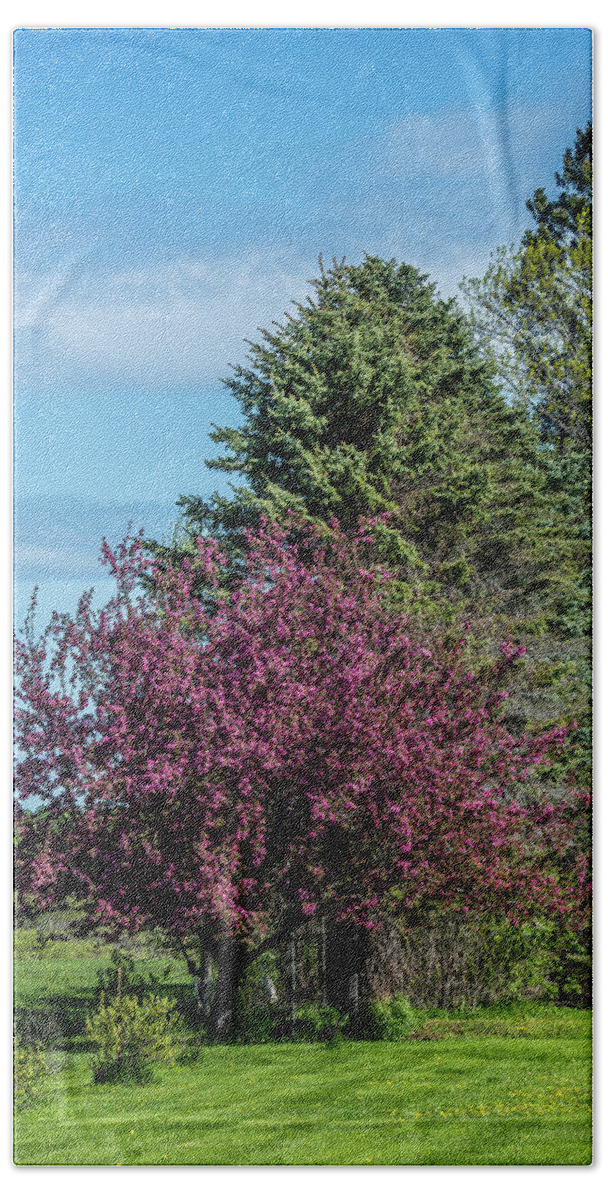 Spring Bath Towel featuring the photograph Spring Blossoms by Paul Freidlund
