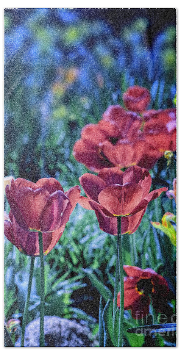 Tulips Hand Towel featuring the photograph Spring Garden by Susan Warren