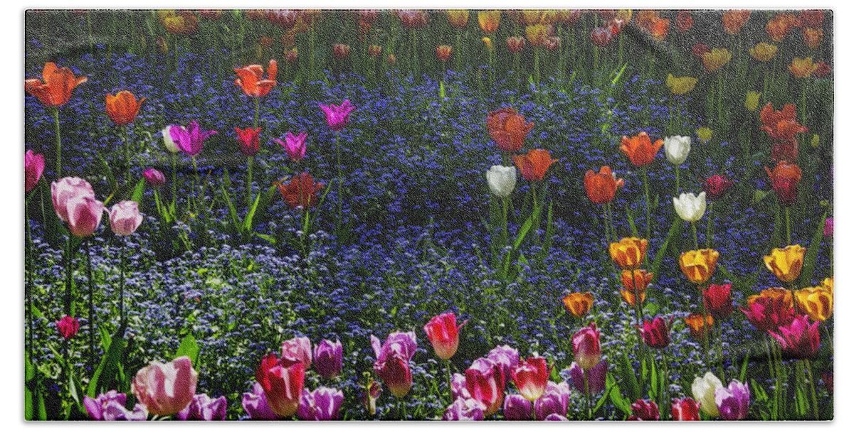 Yellow Bath Towel featuring the photograph Spring Garden With Tulips by Garry Gay