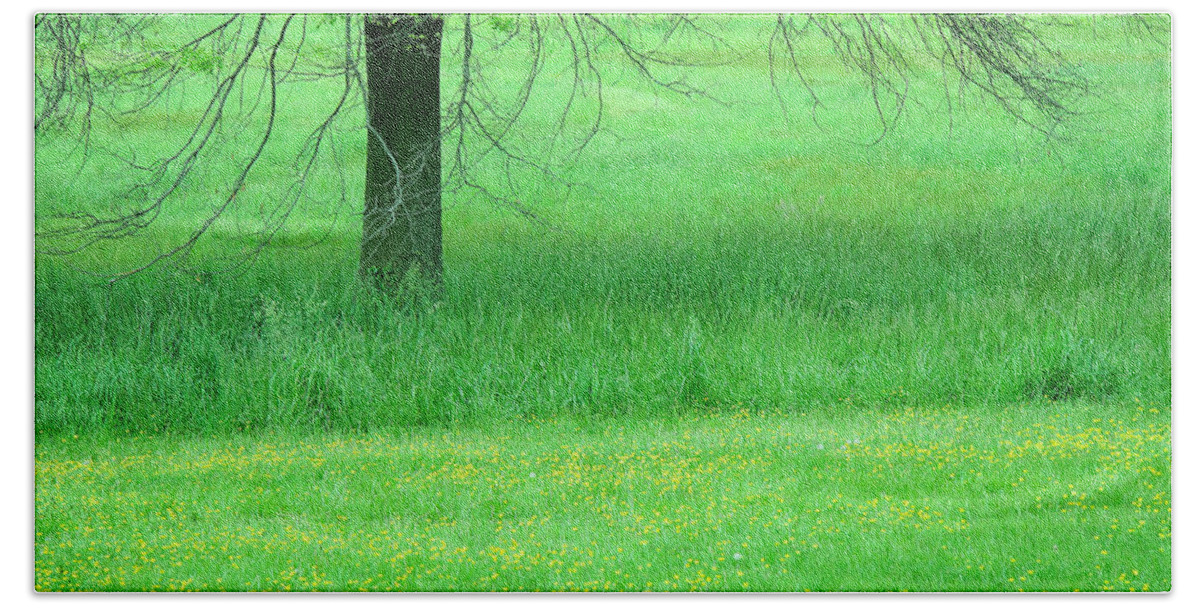 Green Bath Towel featuring the photograph Spring Green With Yellow Buttercups by Cora Wandel