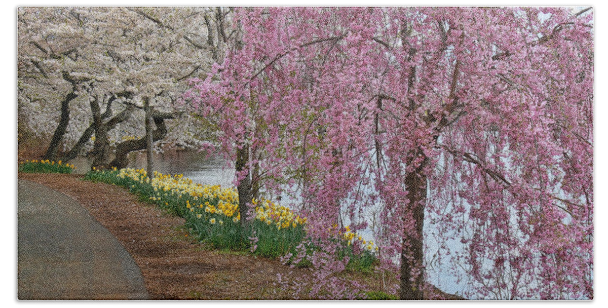 Cherry Blossoms Hand Towel featuring the photograph Cherry Blossom Trees of Branch Brook Park 13 by Allen Beatty