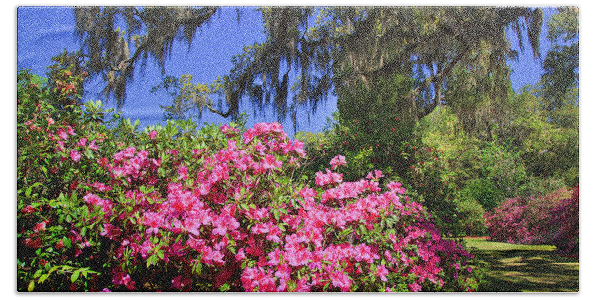 Pink Bath Towel featuring the photograph Spring in the South by Jill Lang