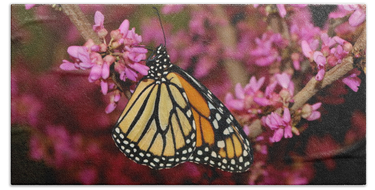 Monarch Bath Towel featuring the photograph Spring Monarch by Living Color Photography Lorraine Lynch