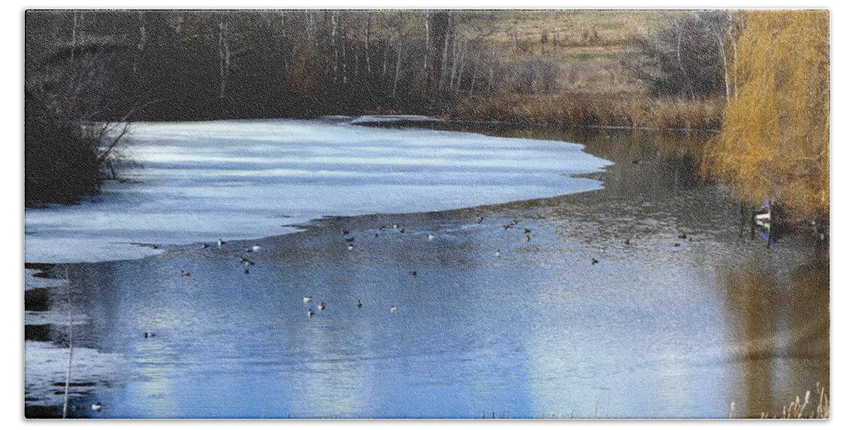 Pond Bath Towel featuring the photograph Spring Pond by Will Borden