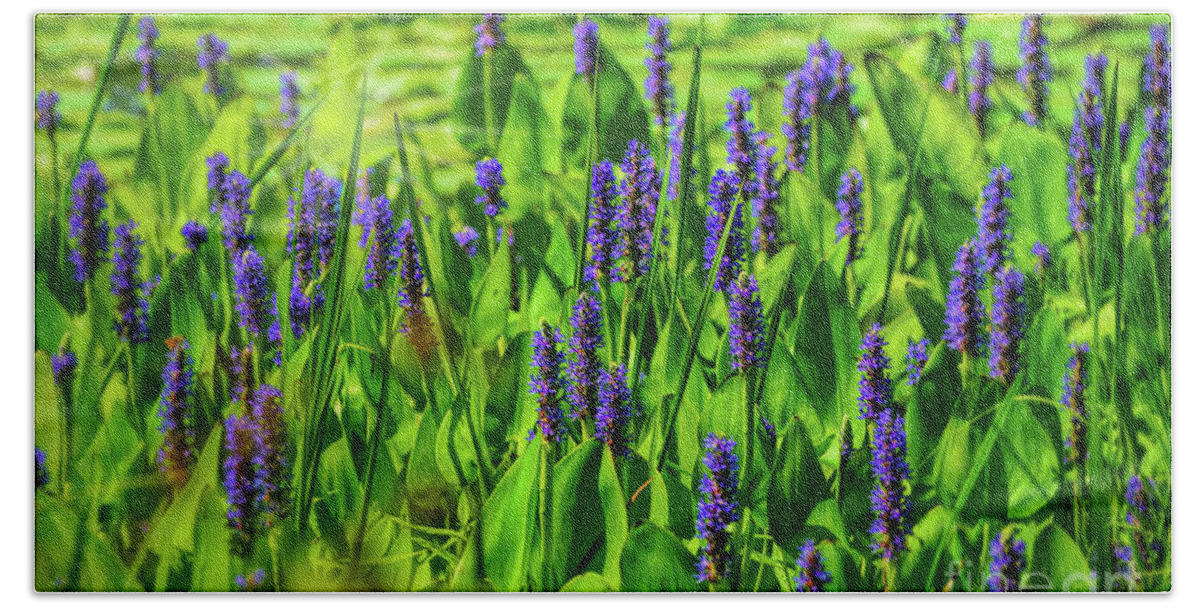 Missouri Hand Towel featuring the photograph Spring Purple Pond Flowers by Peggy Franz